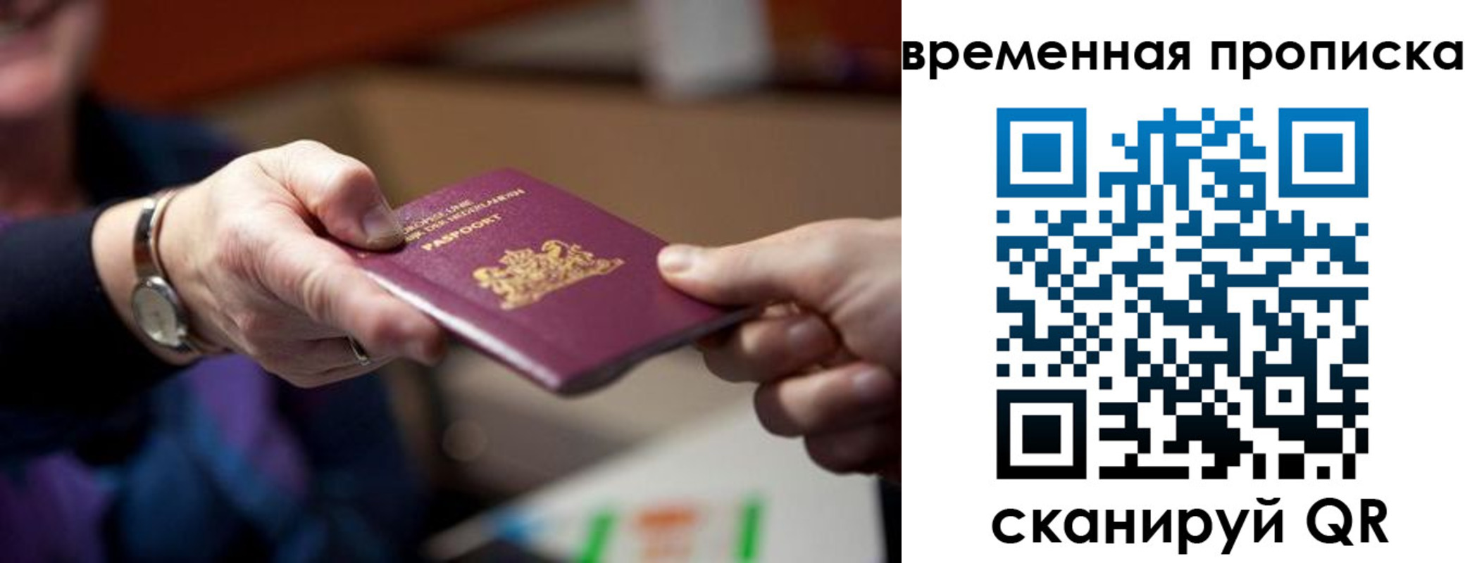временная регистрация для всех в Таре